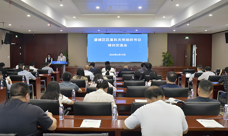 公司職能黨支部書(shū)記、黨群綜合部副部長(zhǎng)（主持黨建工作）周葵主持會(huì)議.jpg